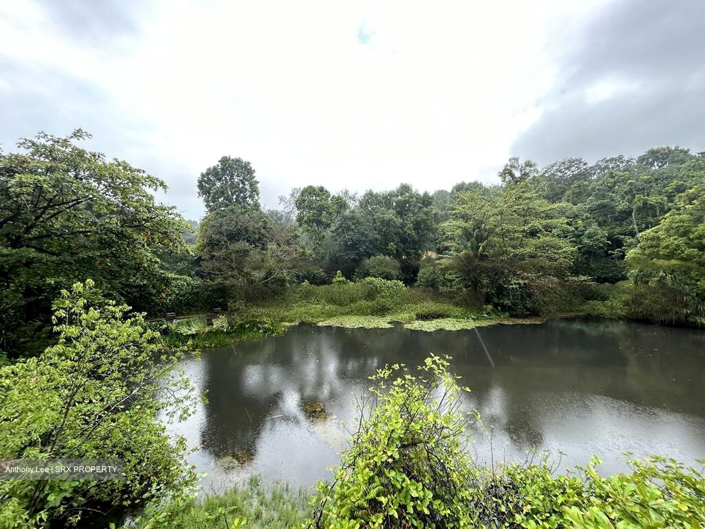 Normanton Park (D5), Apartment #599482511